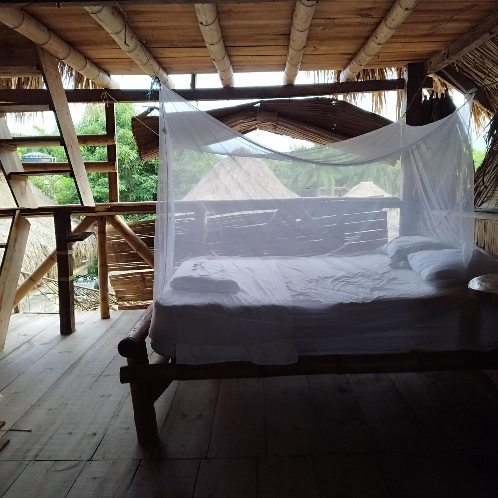 Auroa Palomino Hotel Kültér fotó